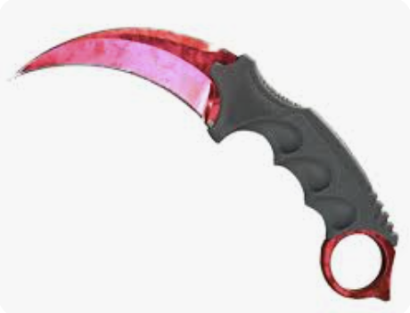 Karambit Doppler P2